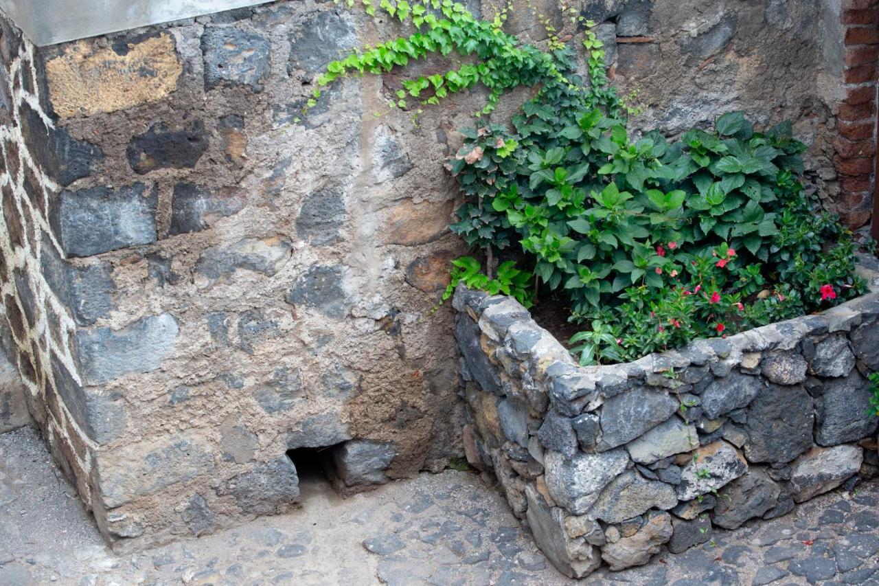 Hacienda Los Orovales Пуерто-де-ла-Крус Екстер'єр фото